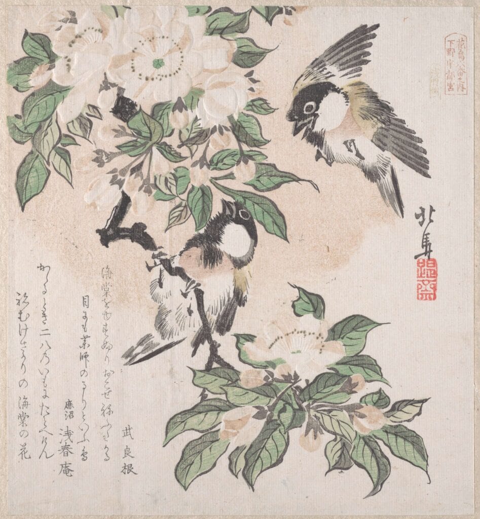 piante-e-fiori-stampa-ukiyo-e